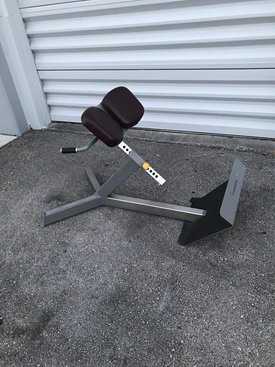 FreeMotion Epic Hyper Extension Bench Elite Gym Equipment International